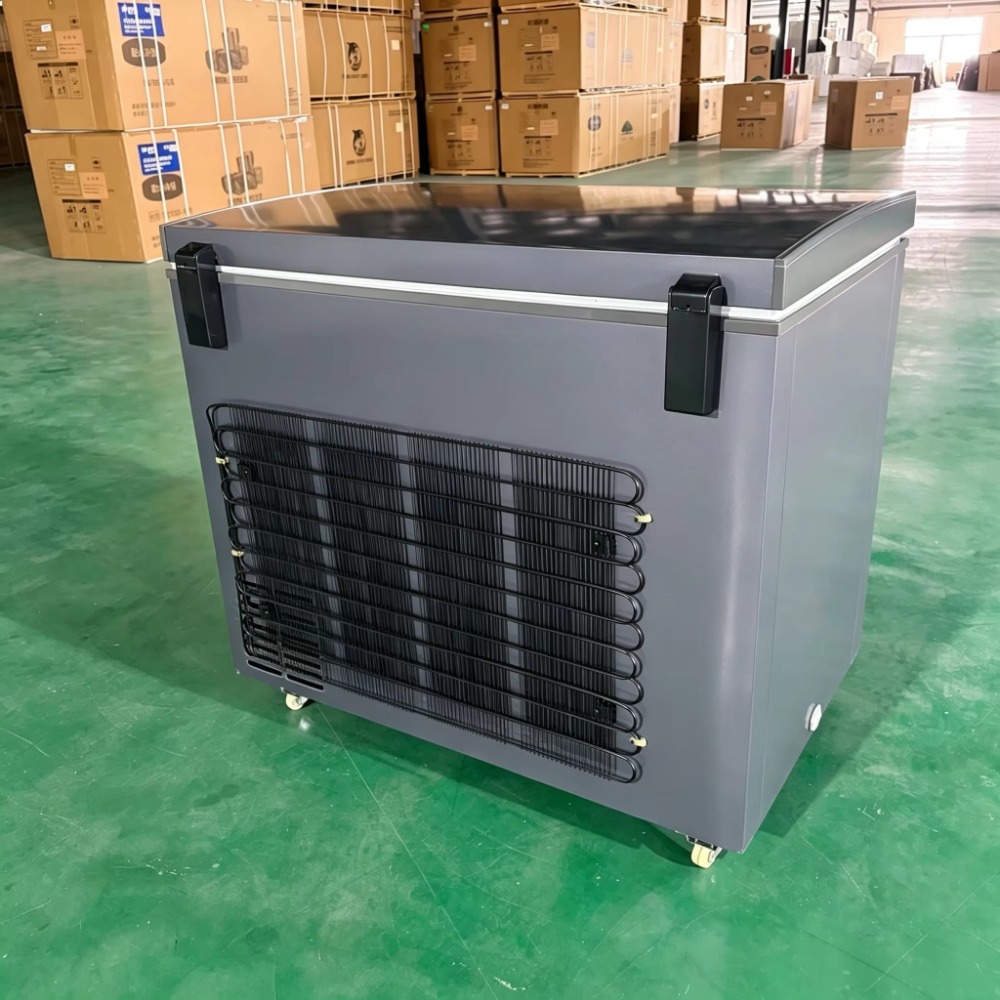 Congélateur horizontal commerc - Commercial Chest Freezer avis et prix
