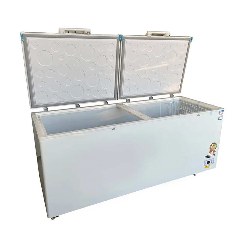 # Grande congélateur commercia - Commercial Chest Freezer avis et prix