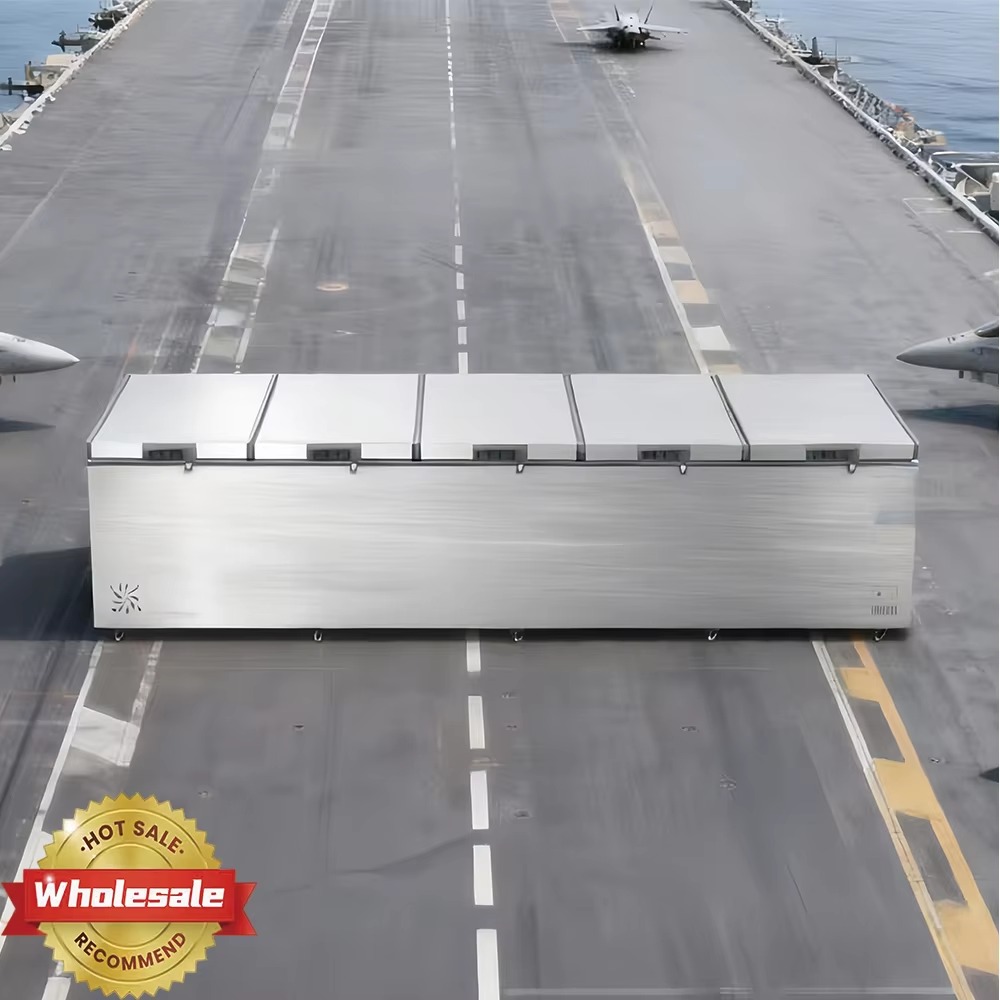 Congélateur horizontal commerc - Commercial Chest Freezer avis et prix