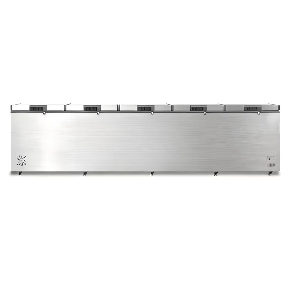 Congélateur horizontal commerc - Commercial Chest Freezer avis et prix