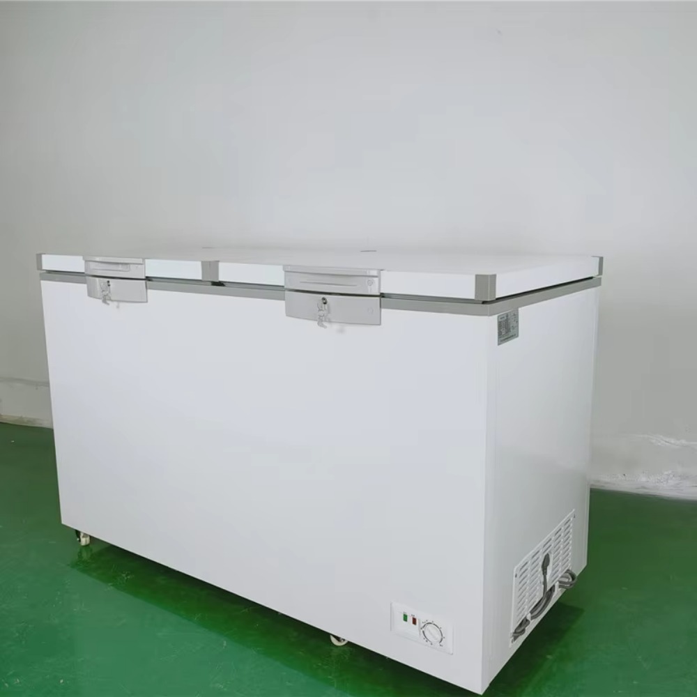 Congélateur horizontal à doubl - Commercial Chest Freezer avis et prix