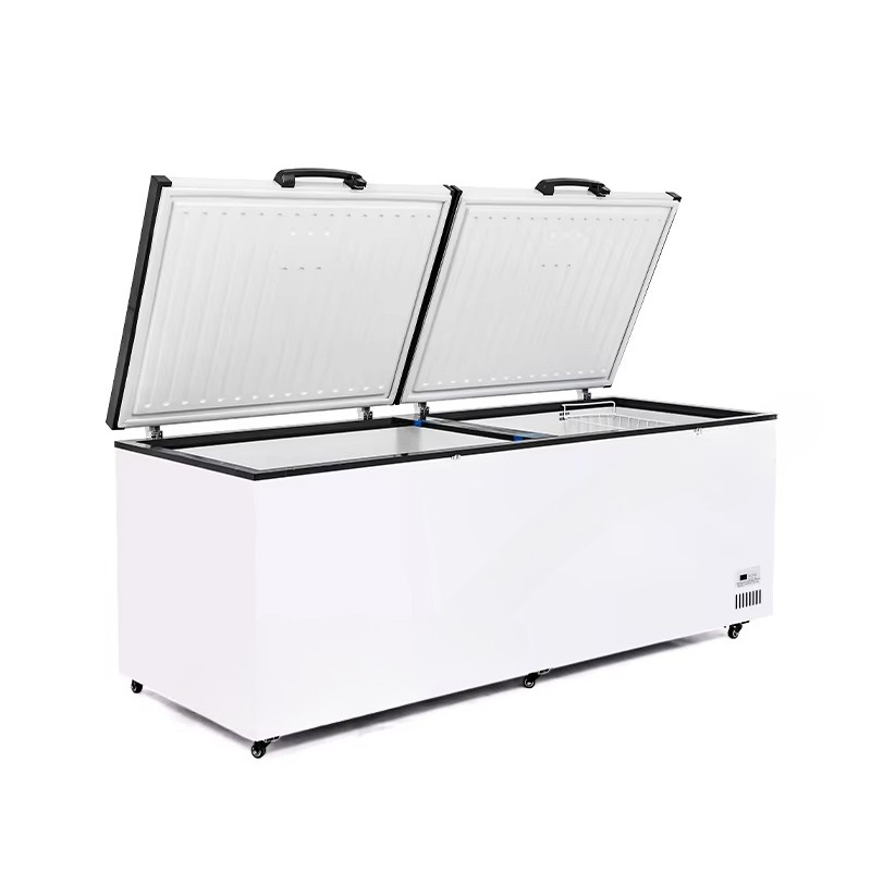 Tout nouveau congélateur coffr - Commercial Chest Freezer avis et prix